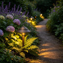 Dome Path Light