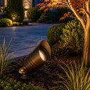 Solid Brass 12V Acorn Spotlight