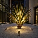 Vint Glow Niche Spotlight (Large)