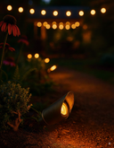 Accent Lights